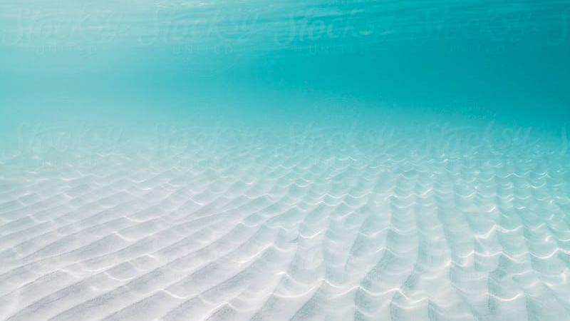 BASIC | floored (booty)