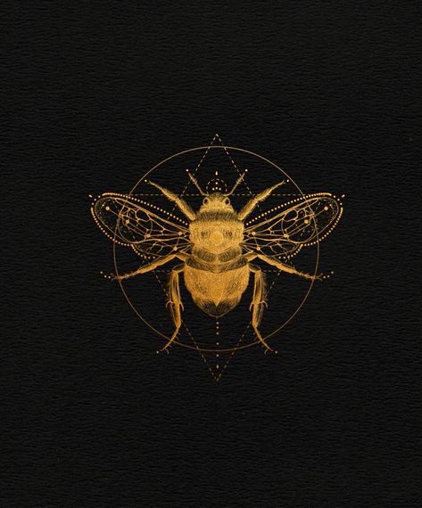 BUILD | beez in the trap