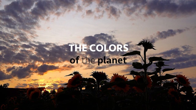 The Colors of The Planet