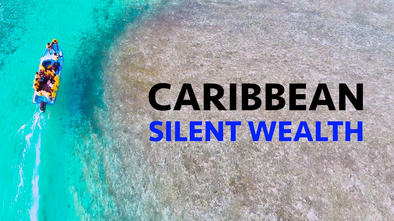 Caribbean Silent Wealth