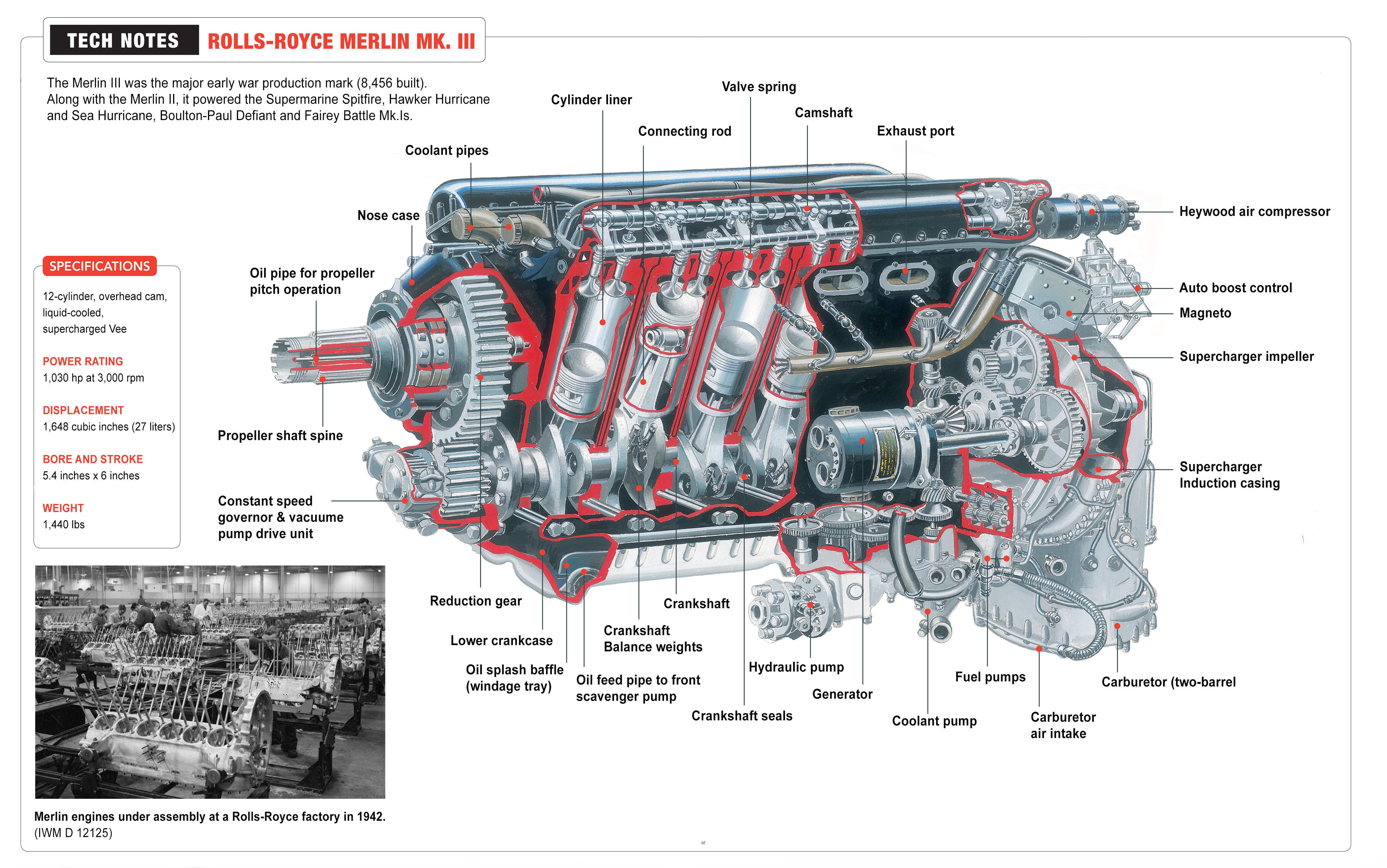 Gonzlab LIberation Army