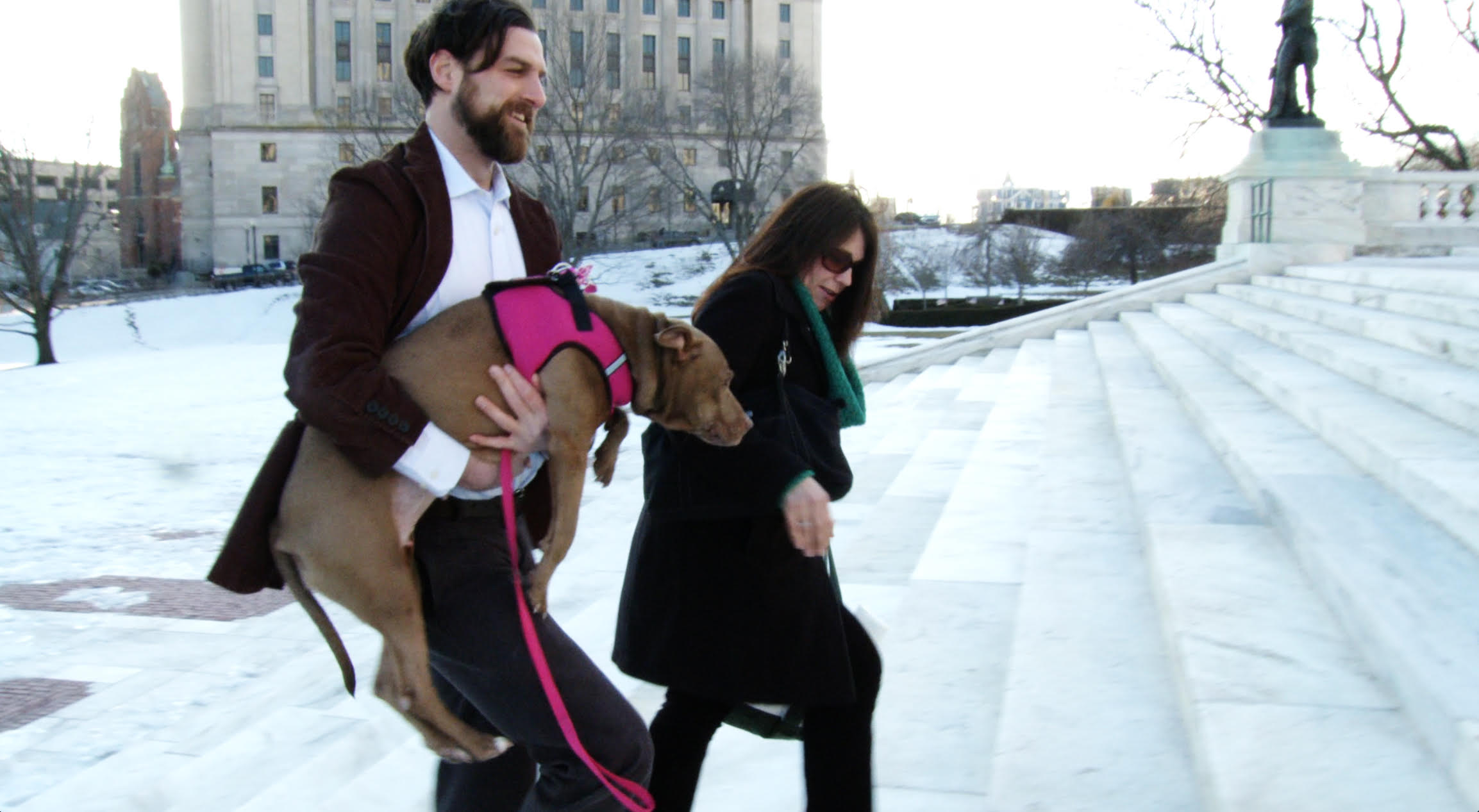 Discrimination Against Dogs