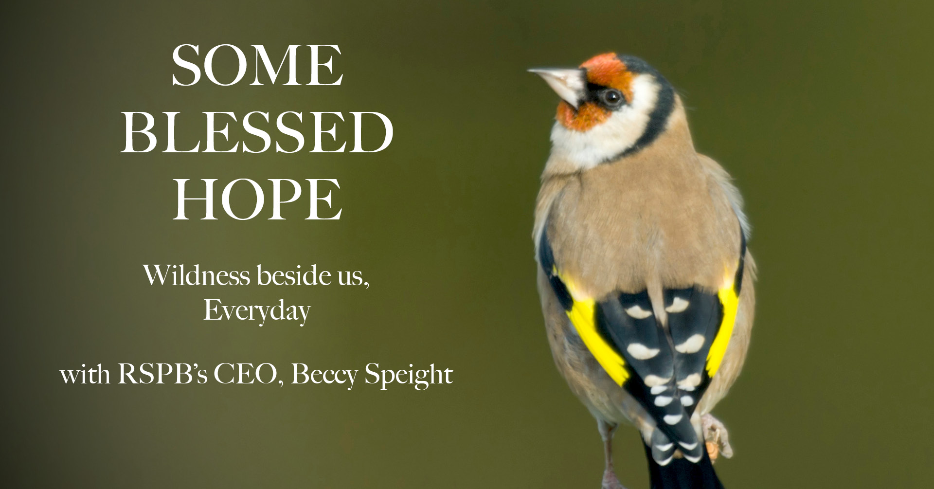 'Some blessed Hope’: Wildness beside us, every day
