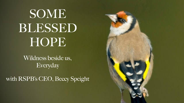 'Some blessed Hope’: Wildness beside us, every day