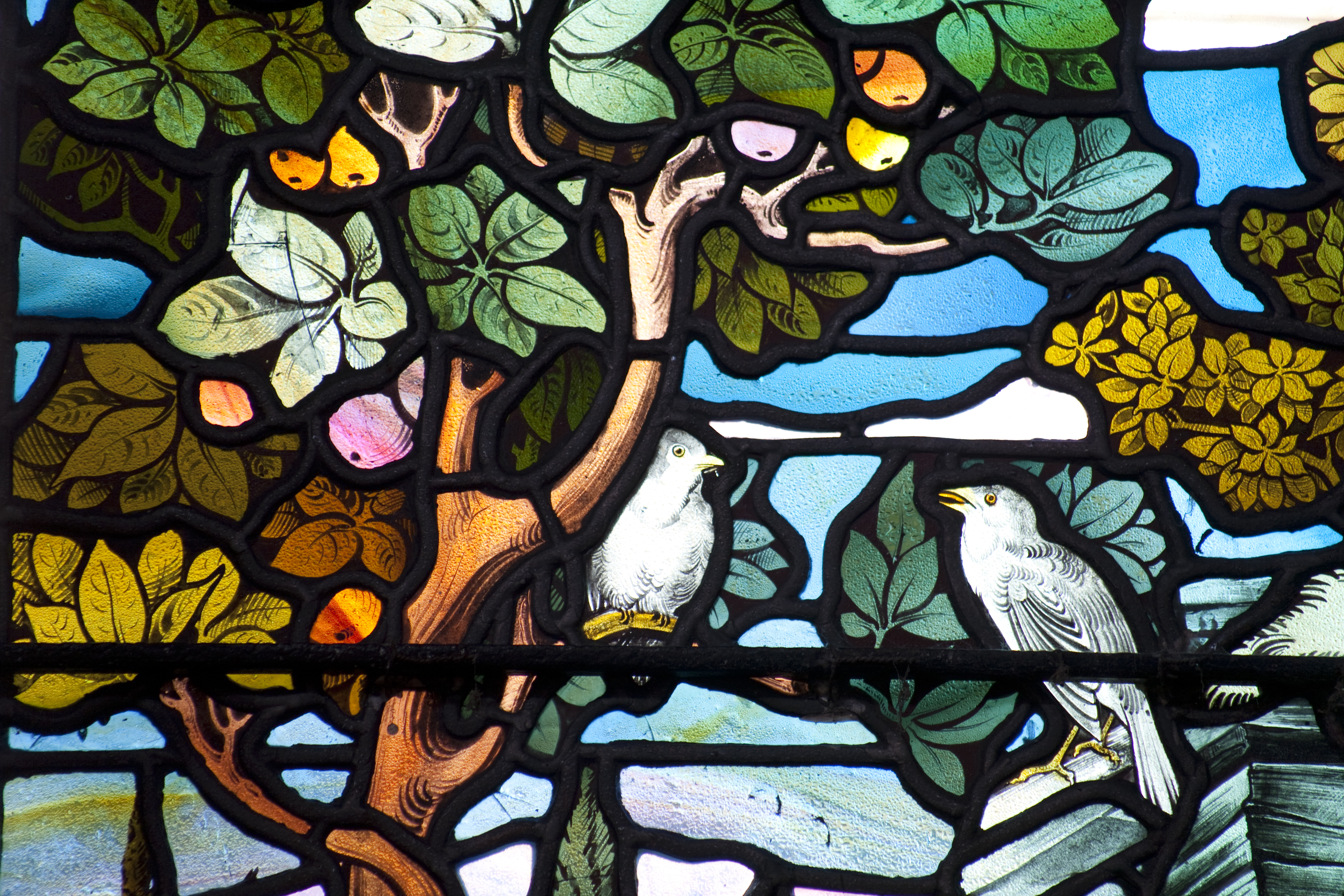 Nights in the Nave: Fantastic Beasts and Where to Find Them