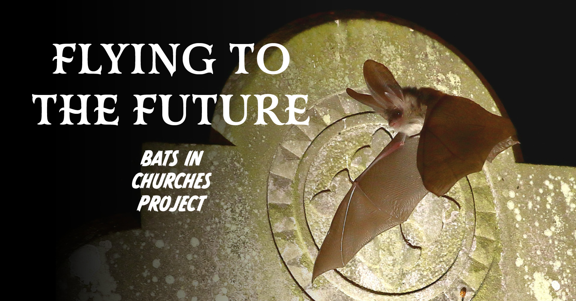 Flying To The Future