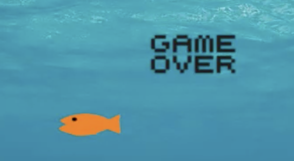 theCoderSchool AppStream