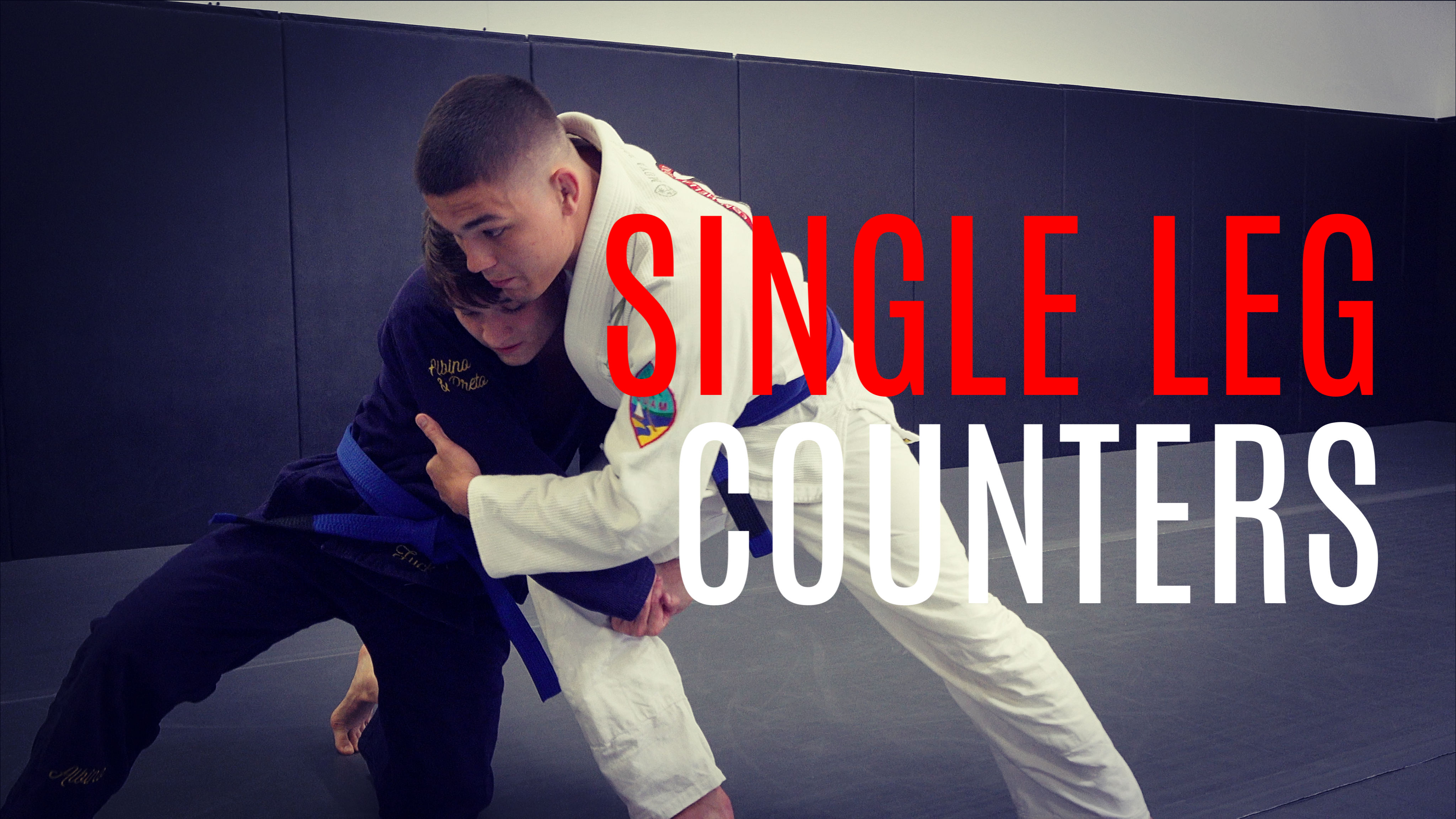 Single Leg Counters