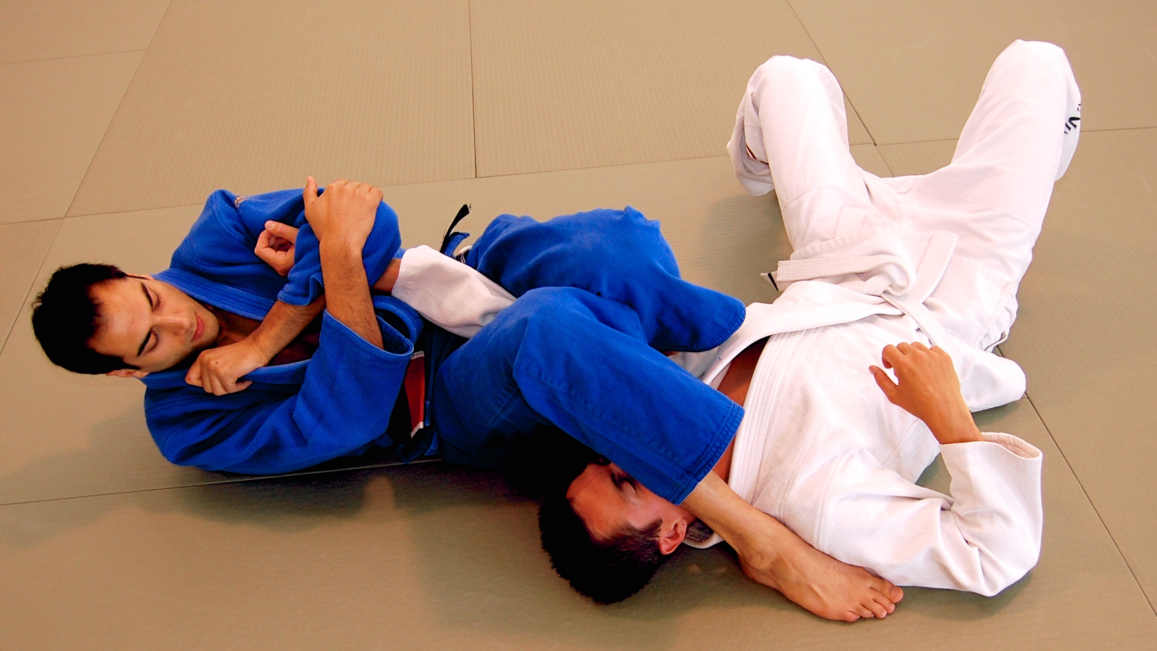 Blue Belt Requirements