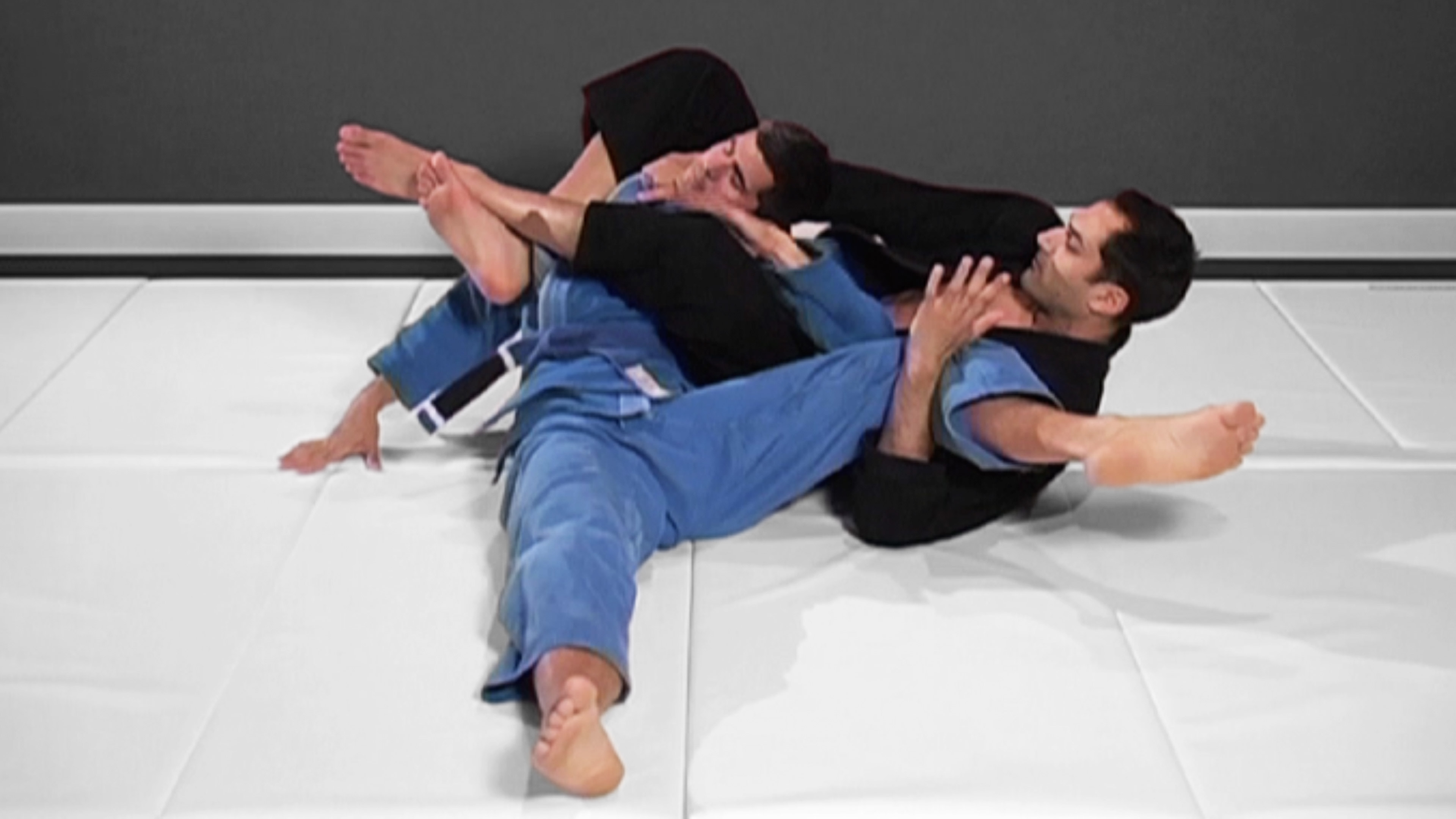 What Makes A Purple Belt?