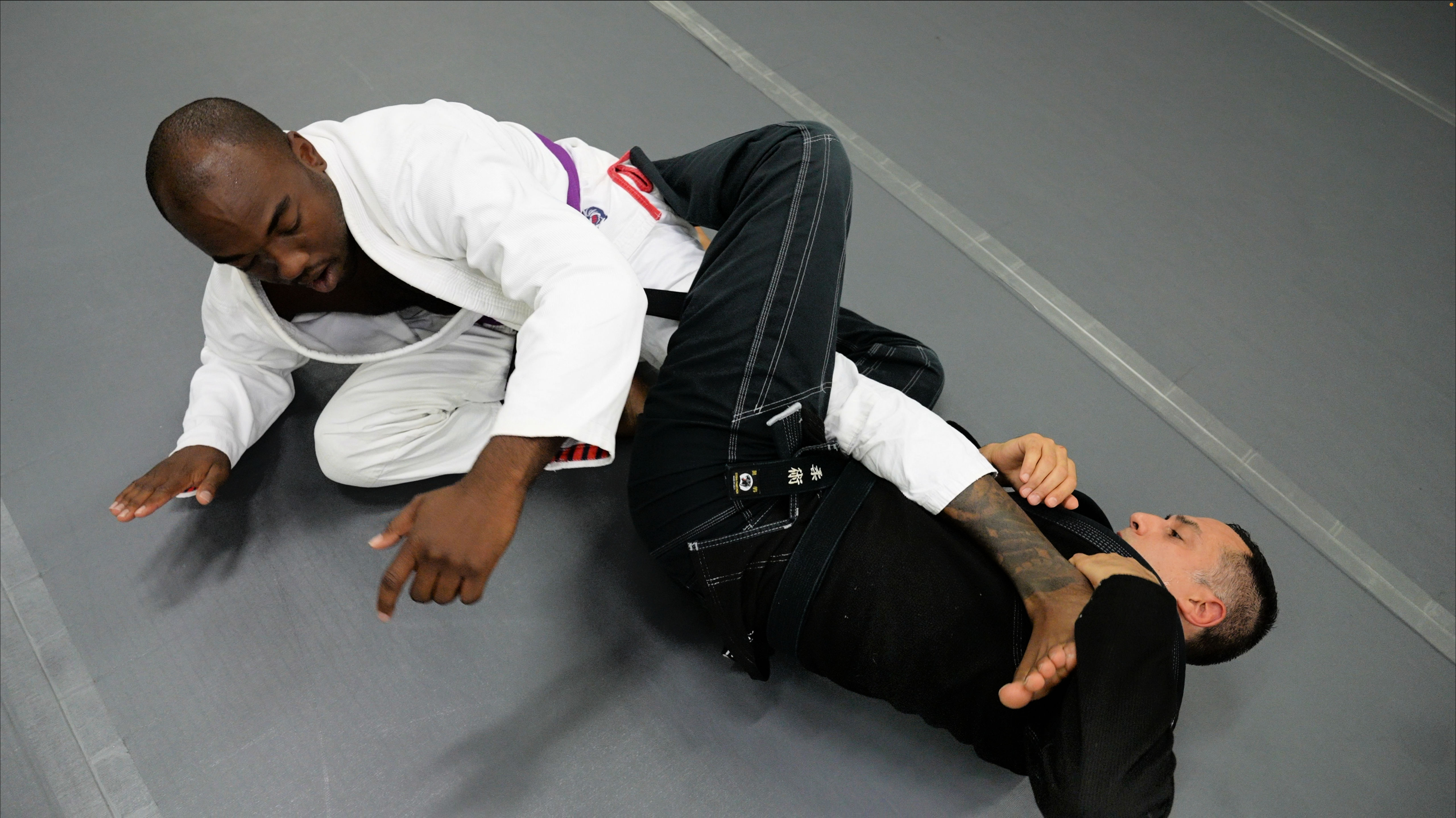 Purple Belt Requirements 2.0 (2025 Remix)