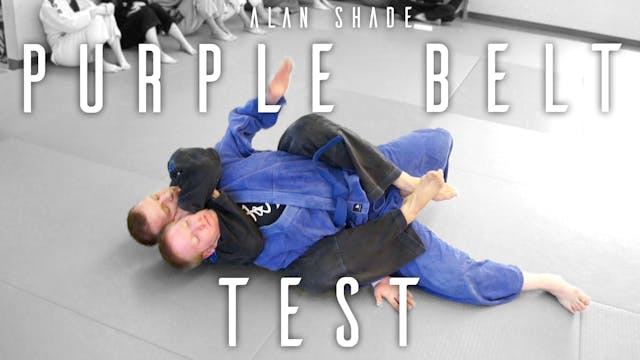 Alan Shade Purple Belt | No Music