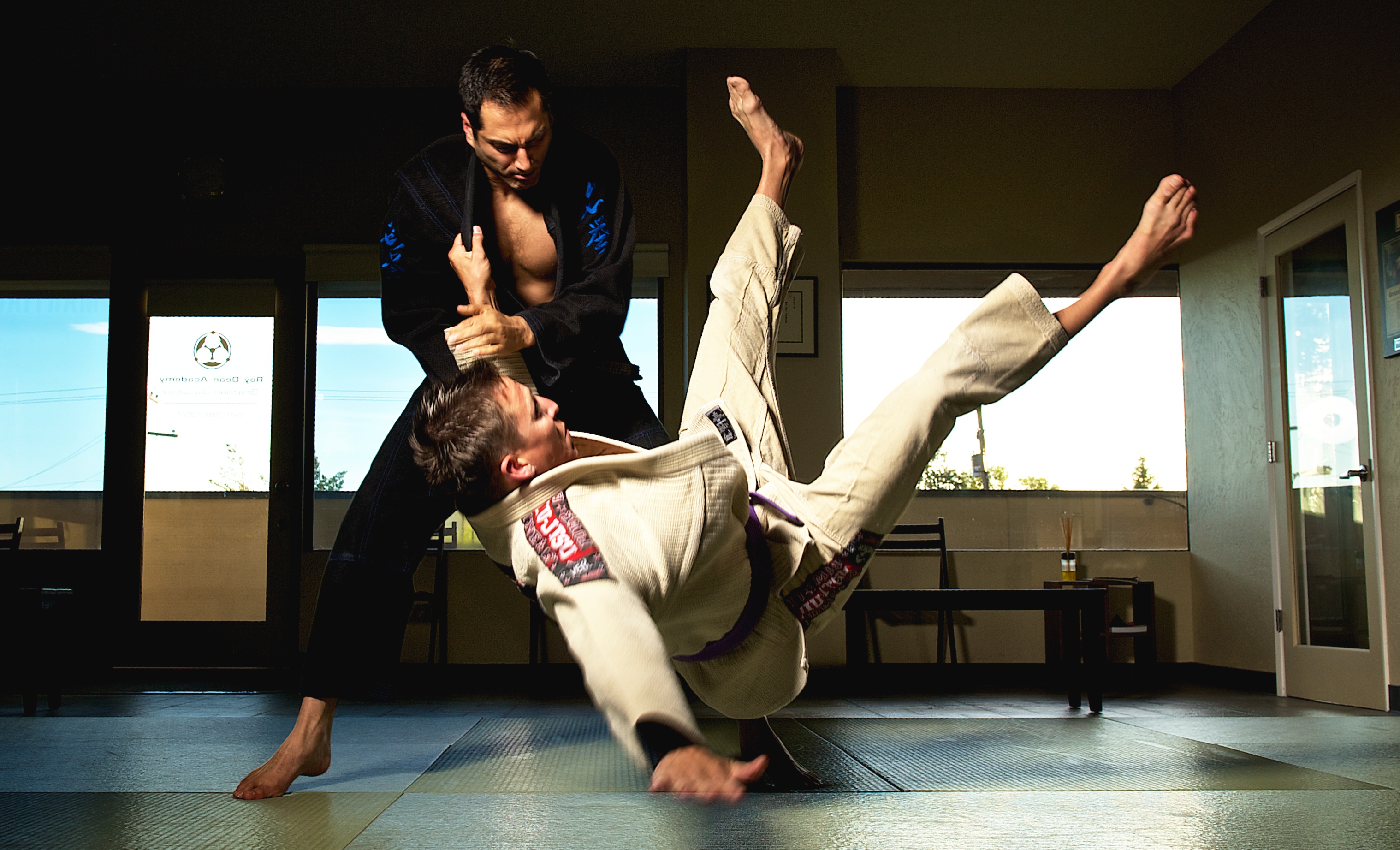 The Collection | White to Black