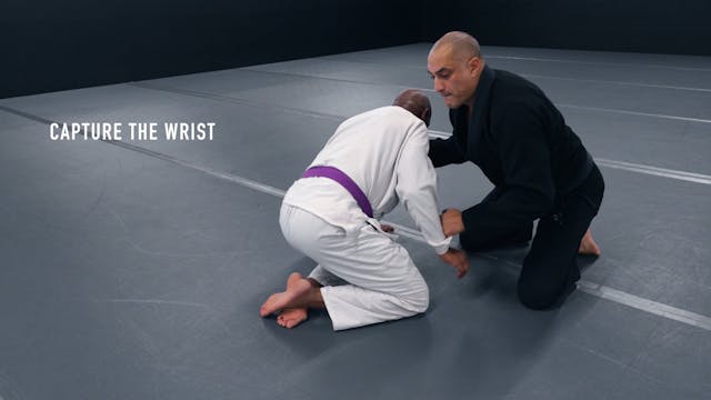 Capture the Wrist
