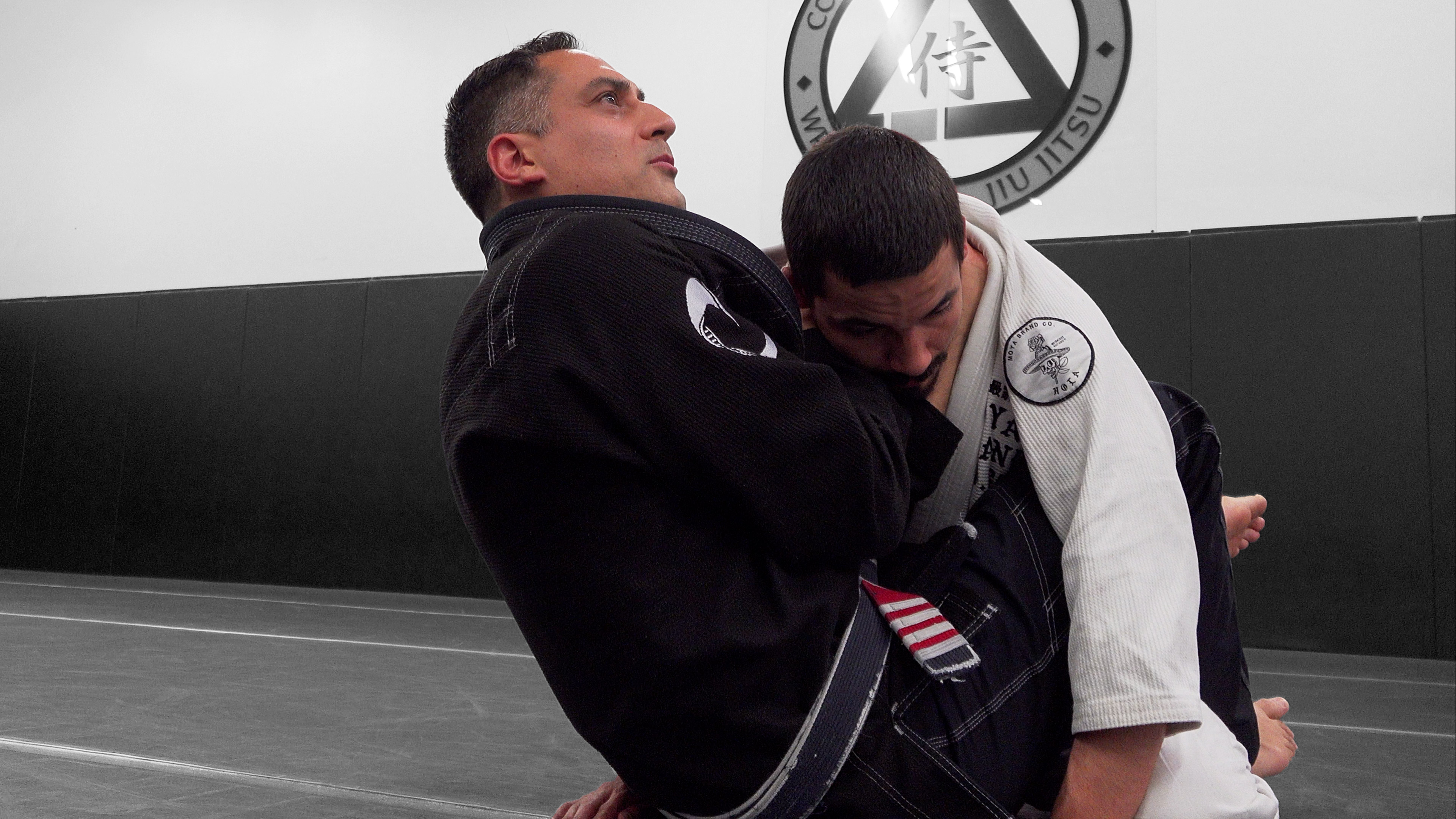 The Jiu Jitsu Class Volume 2
