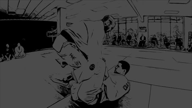 Stages of Development