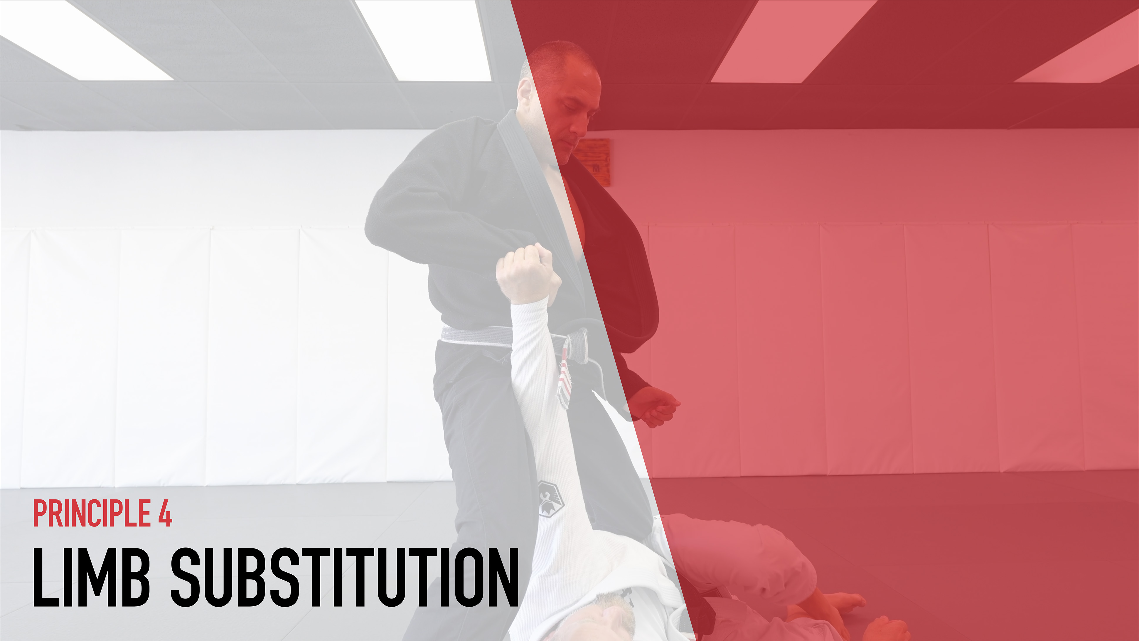 Principle 4 | Limb Substitution