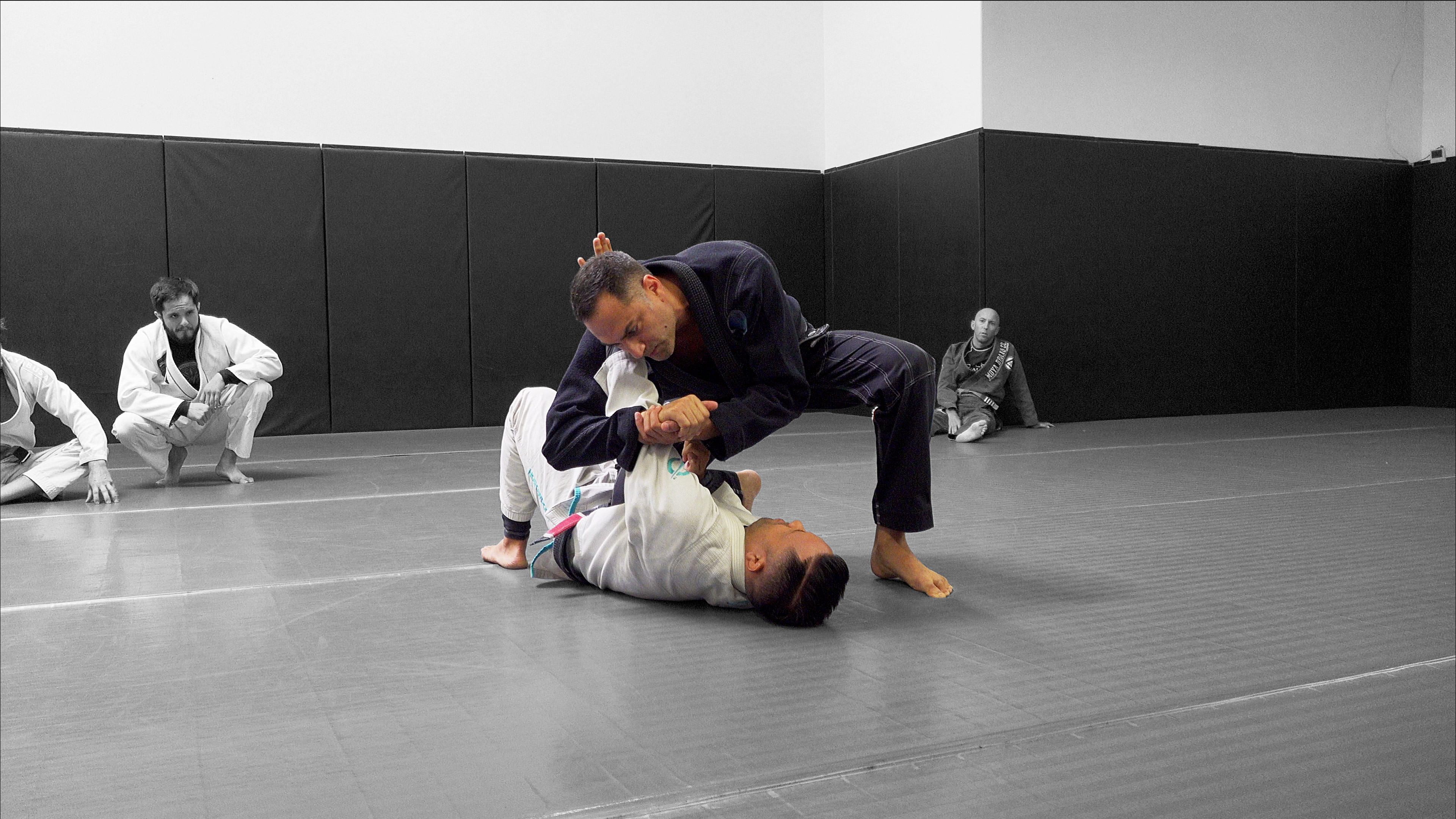 Class 2: Standing Guard Passes