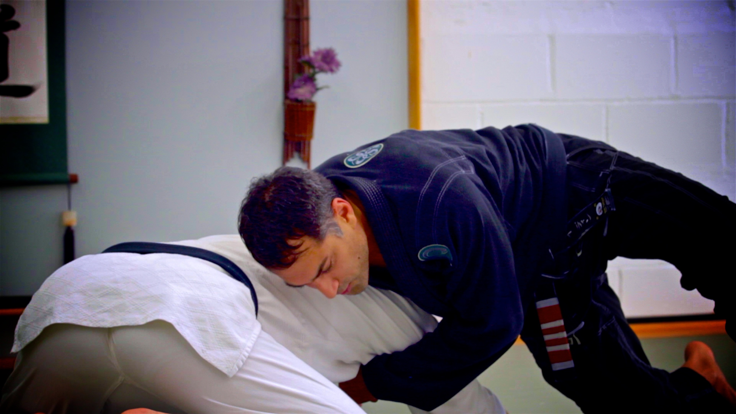 Countering Jiu Jitsu | Chicago 2017