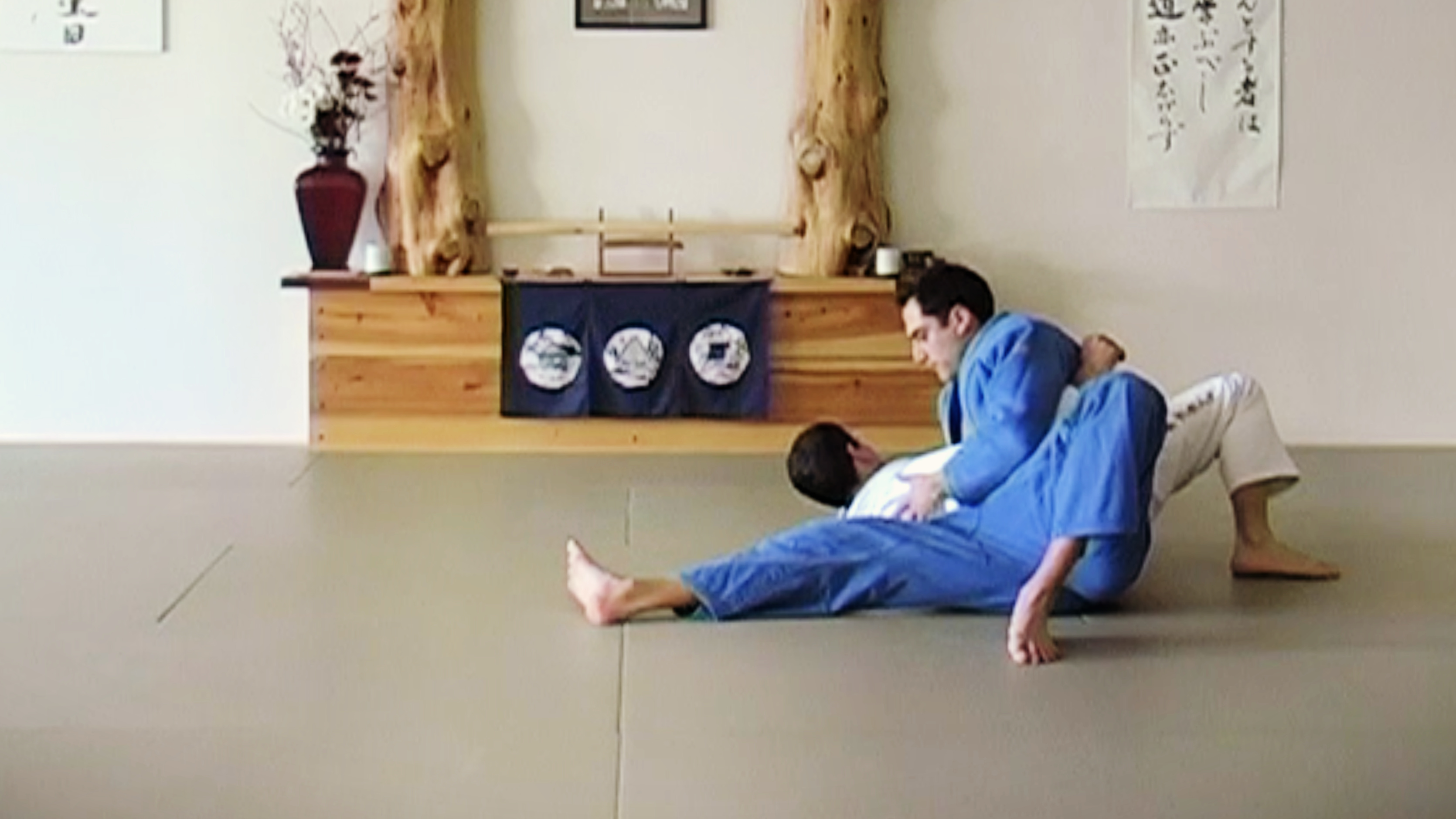 Throws and Takedowns