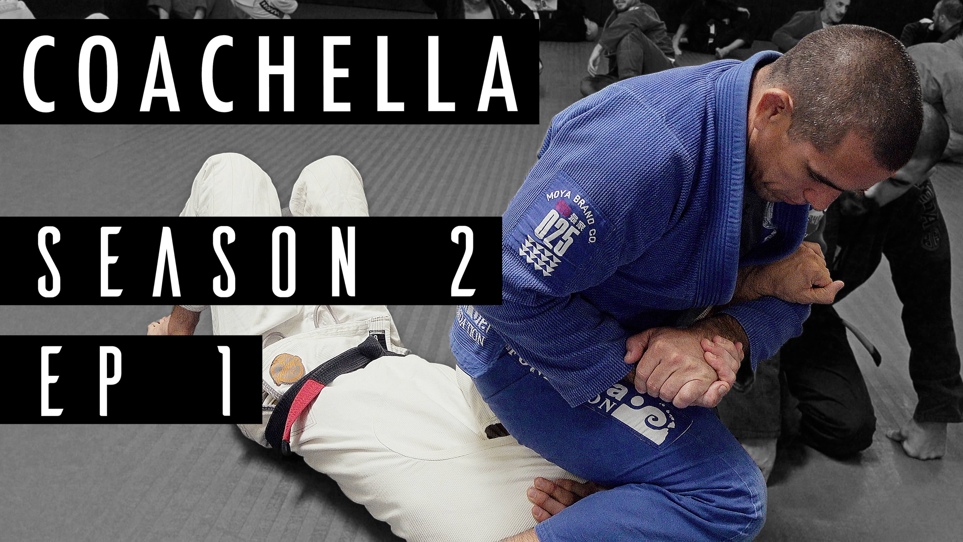 EP 1 | Armlocks from Mount