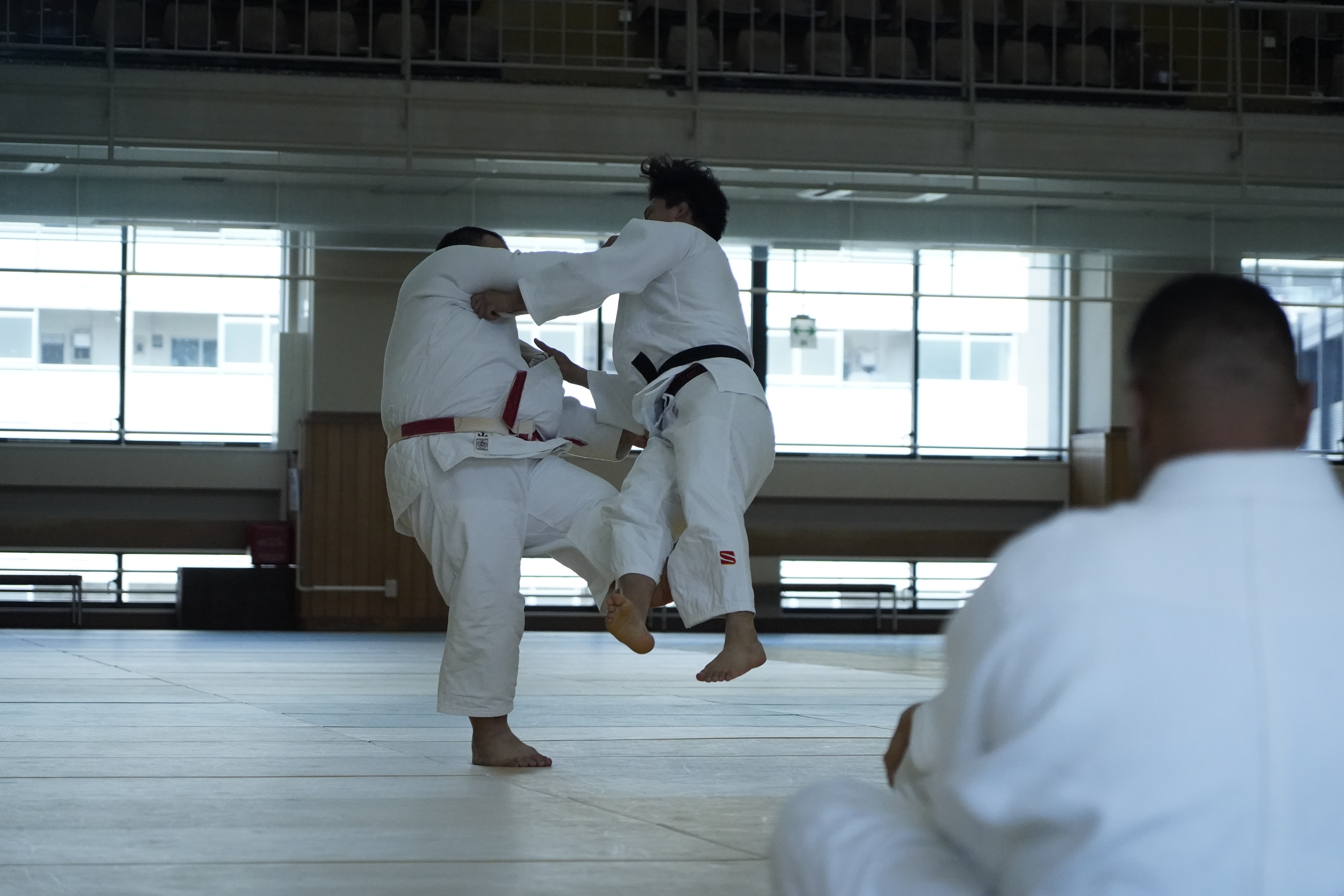 New Releases on RDTV