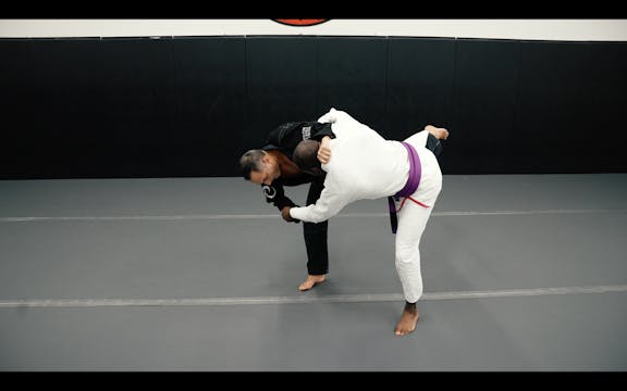 Combo 8 | Uchimata Ankle Pick