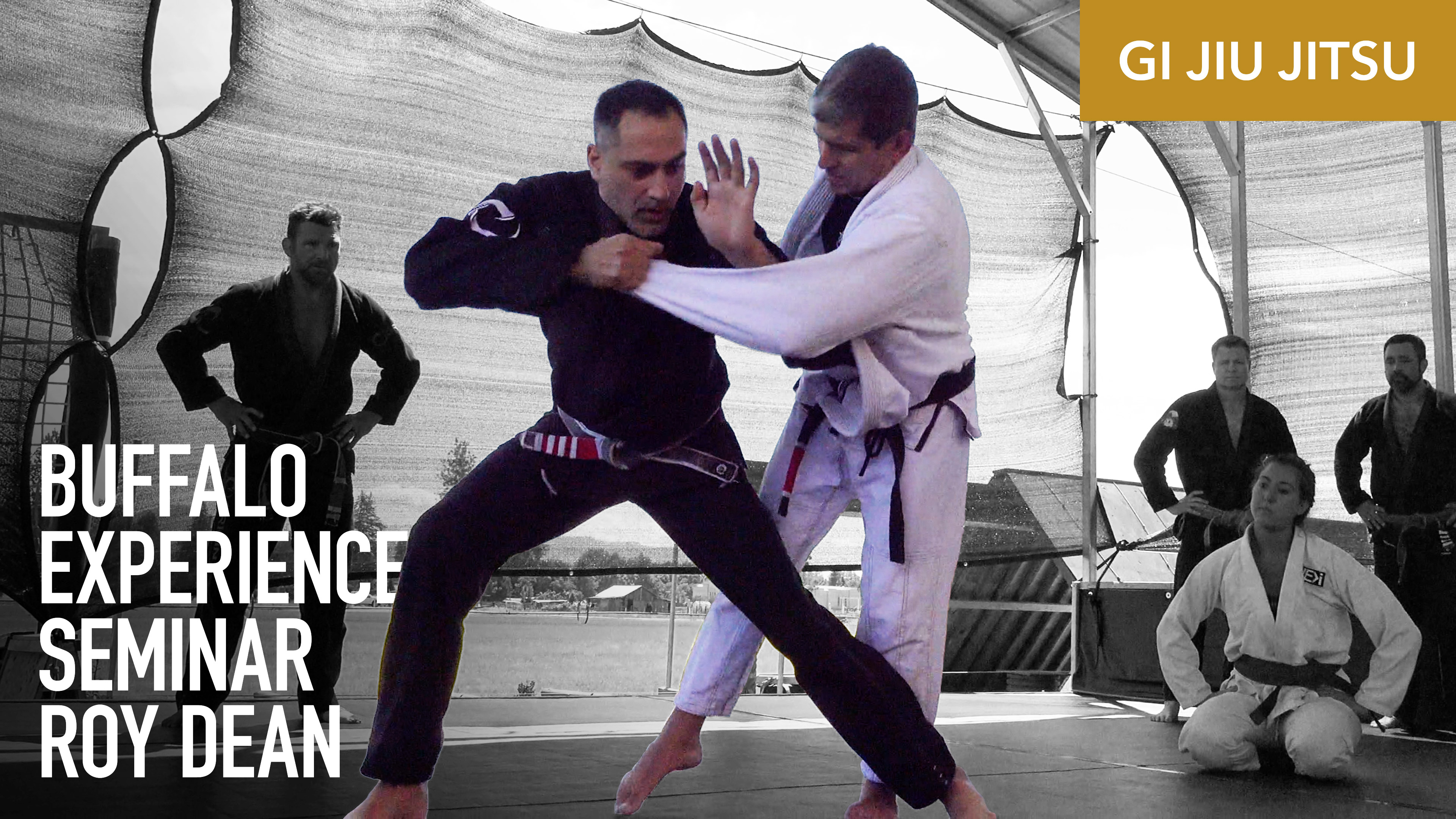The Gi Seminar | Buffalo Experience 2021