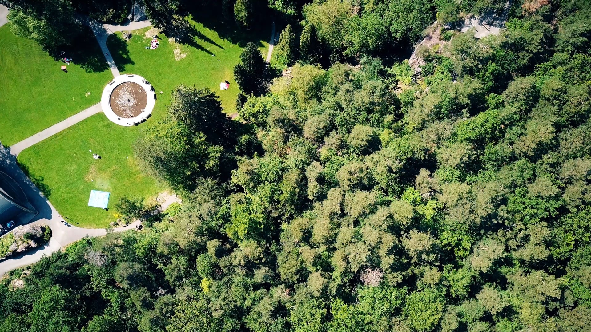 Where Jiu Jitsu Can Take You | EP 1 | Norway