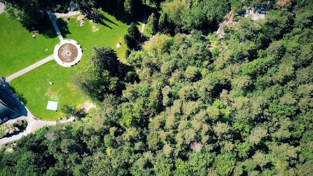 Where Jiu Jitsu Can Take You | EP 1 |...