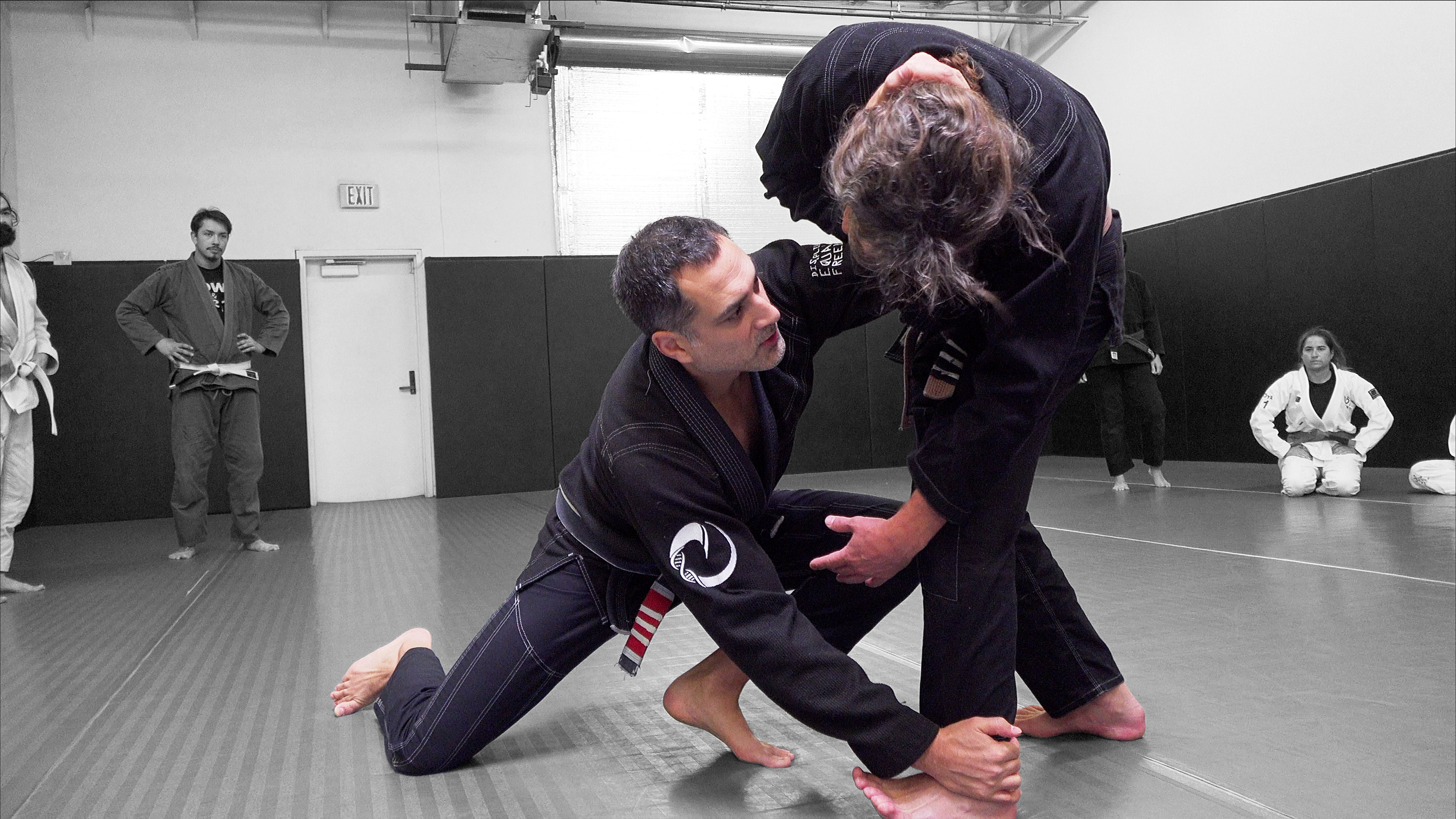 Class 15: Anklepick Armlock