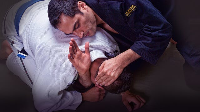 Brazilian Jiu Jitsu Purple Belt Requirements