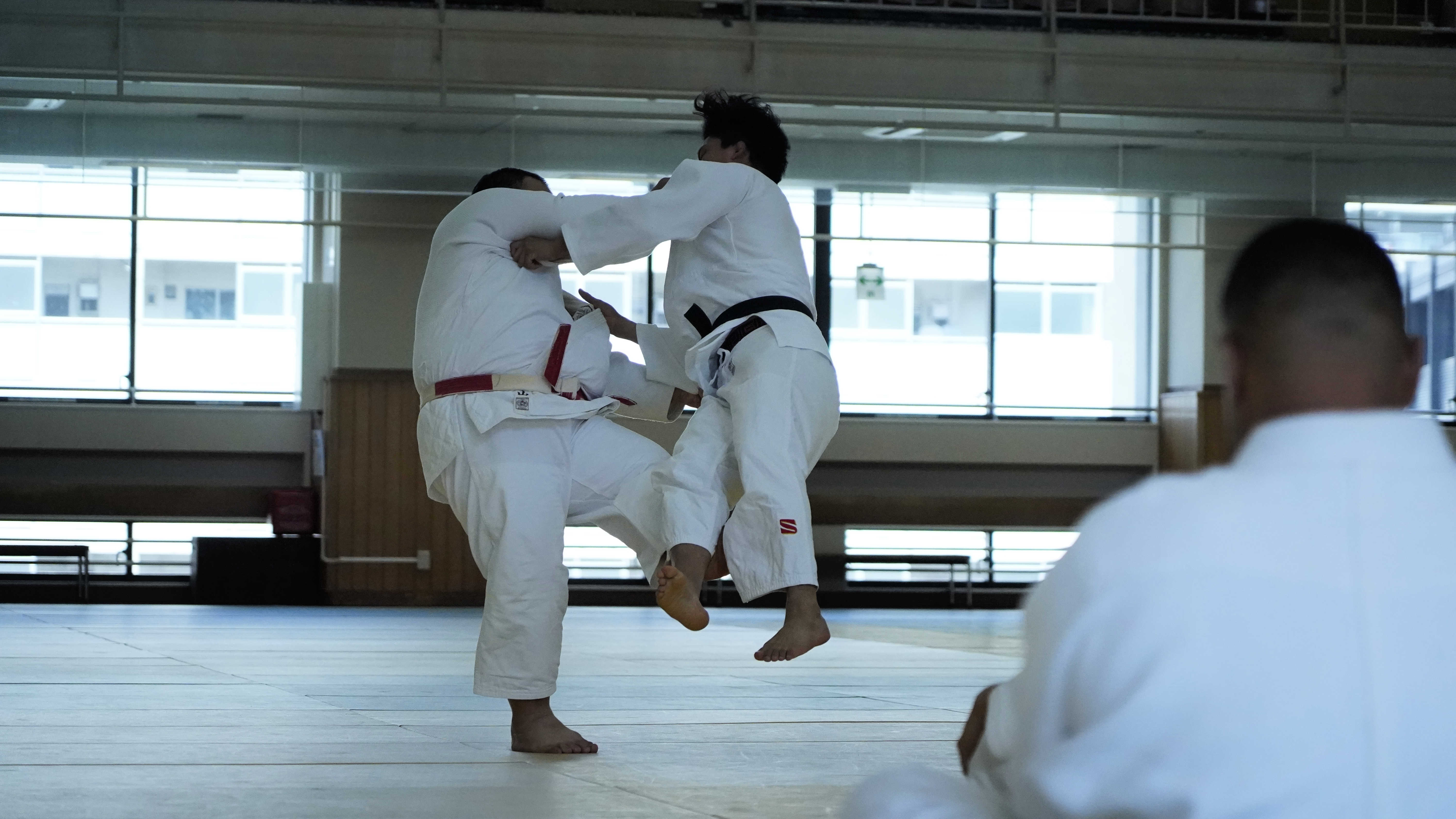 The Kodokan Private Lesson ( with Narration)