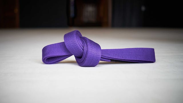 Purple Belt Requirements 2.0