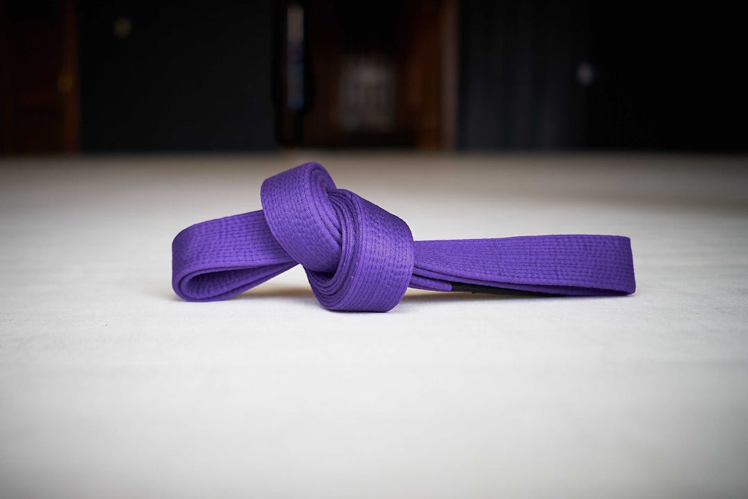 Purple Belt Requirements 2.0