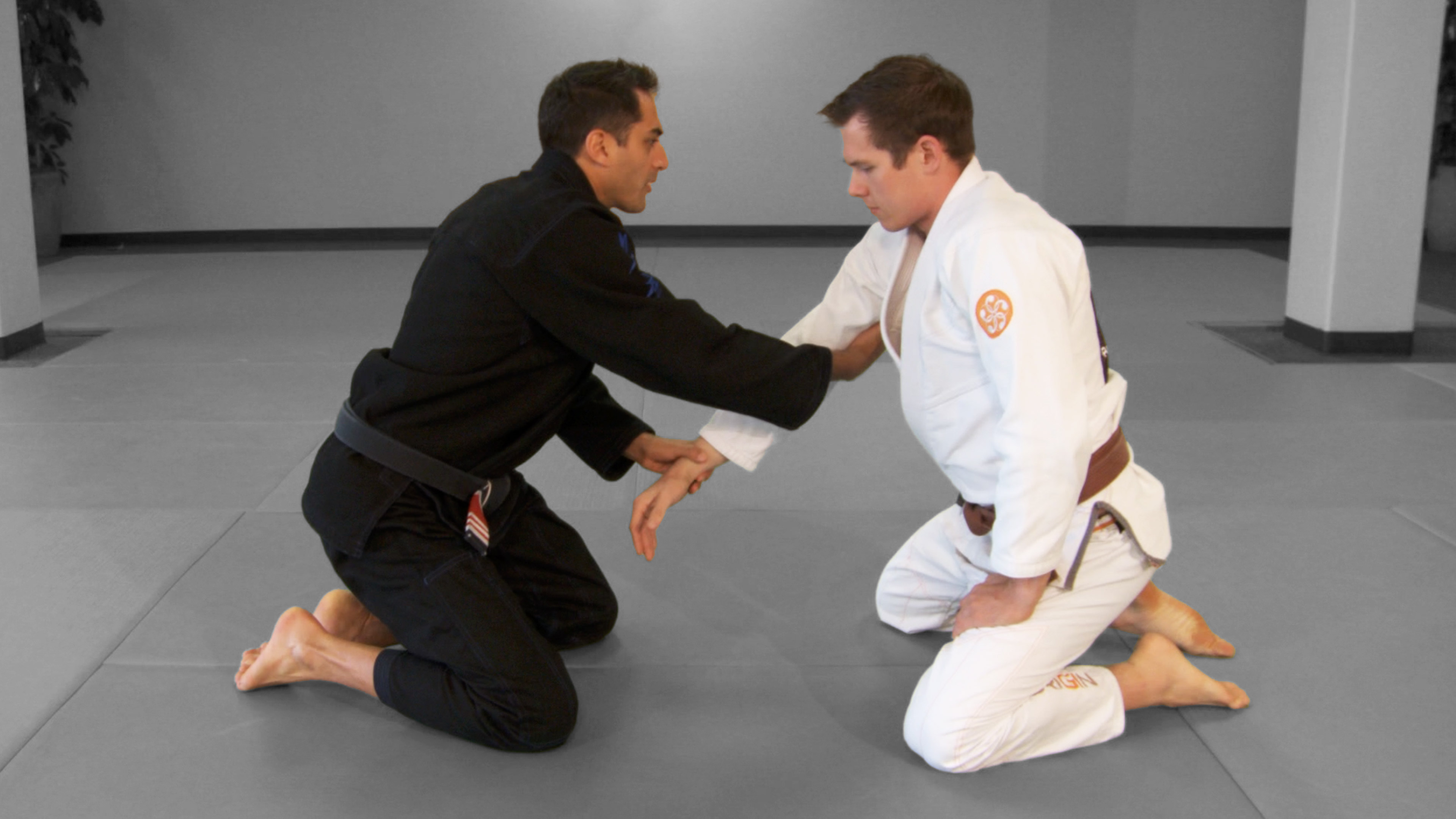 The Armdrag/2 on 1 Sequence