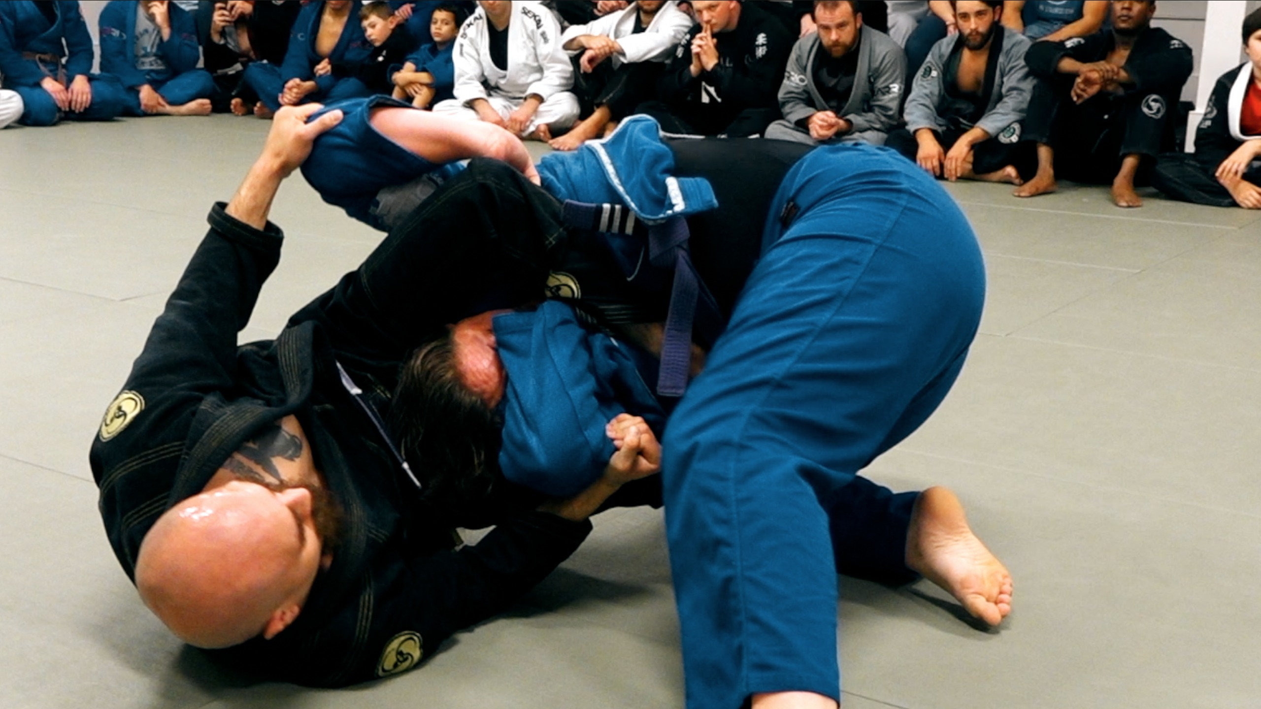 Cesar Clavijo | Brown Belt | No Music