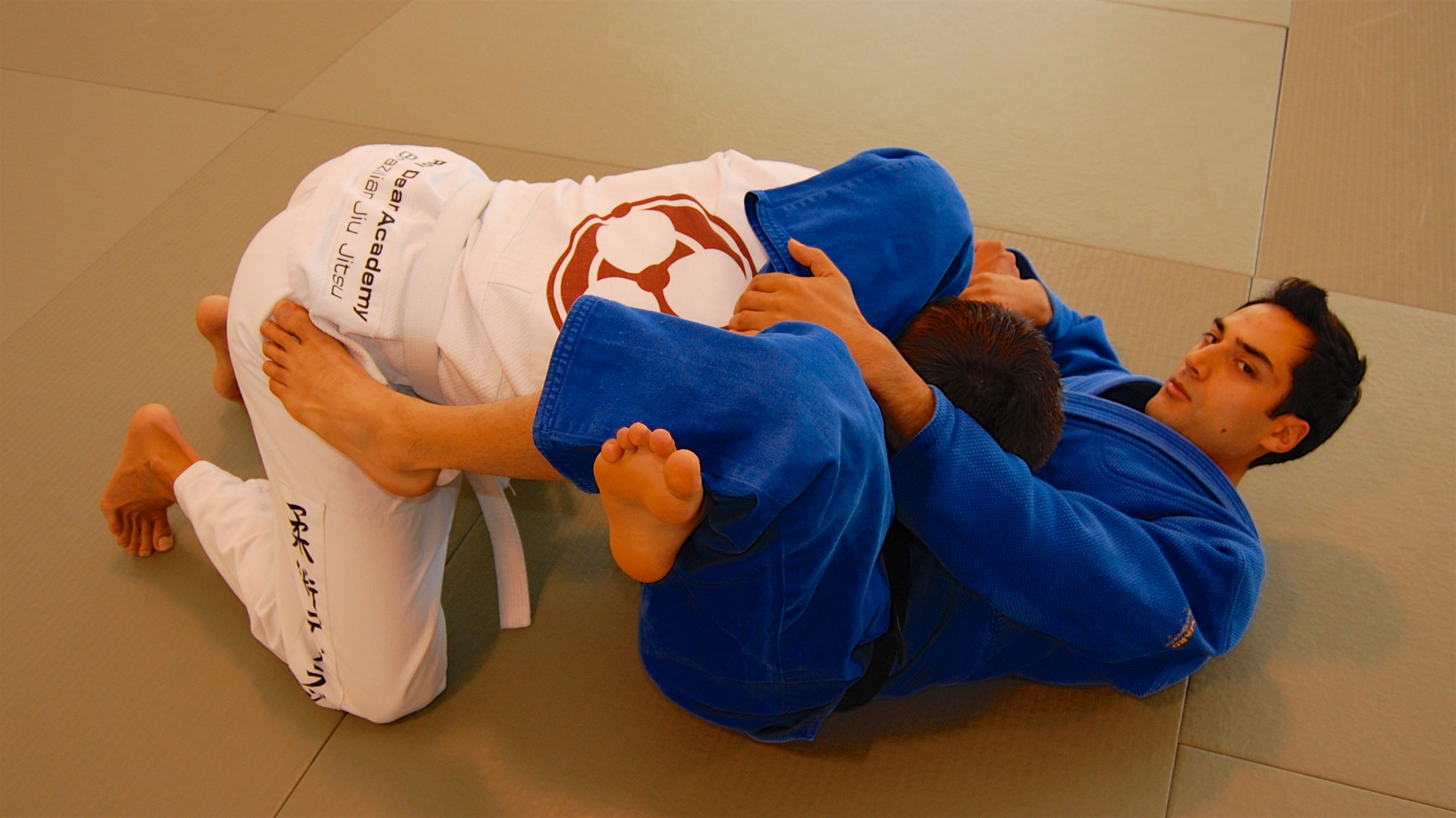 Brazilian Jiu Jitsu Blue Belt Requirements | Free Beginners Course