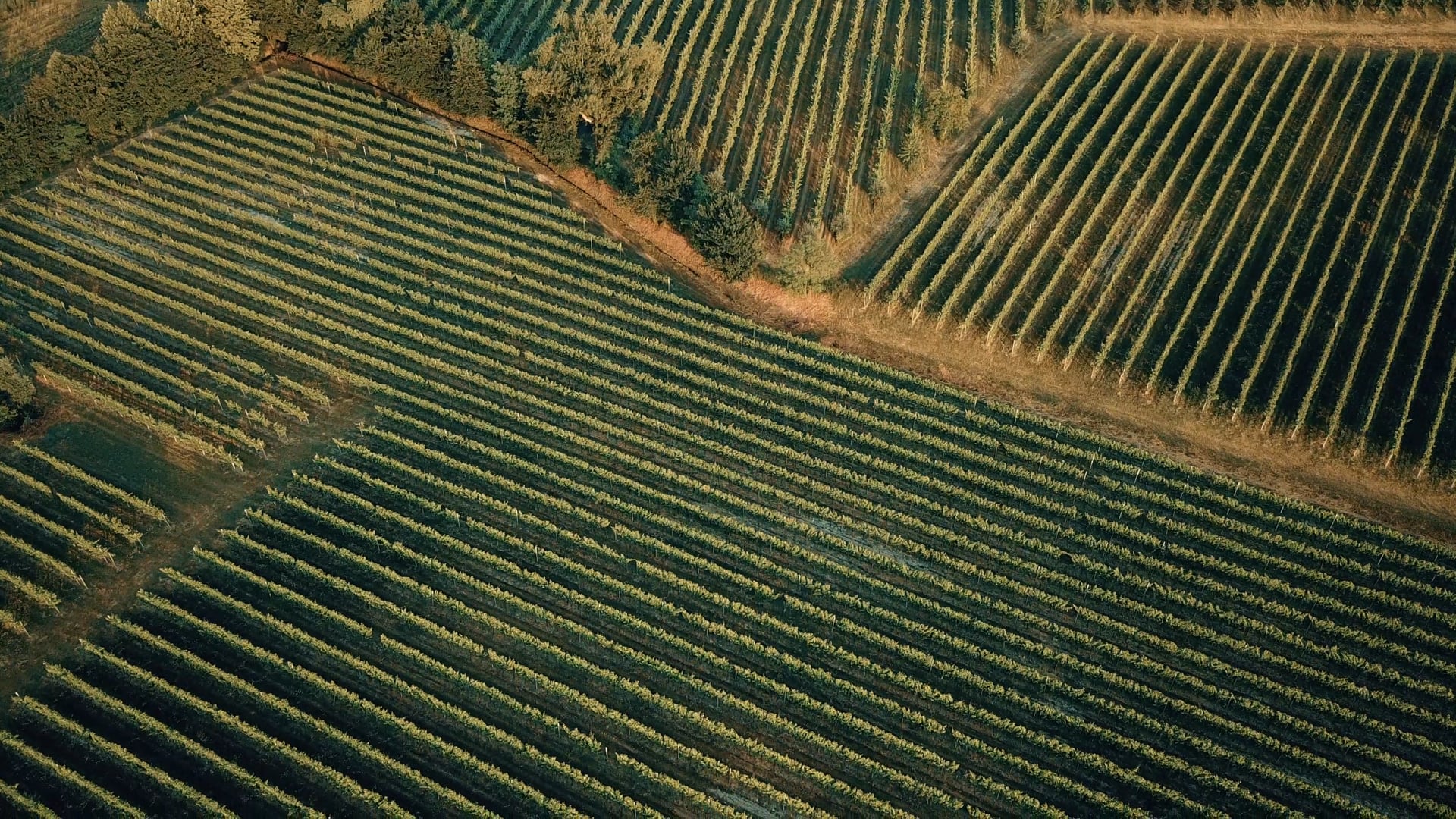 Sunset at San Vendemiano | Italy 2019