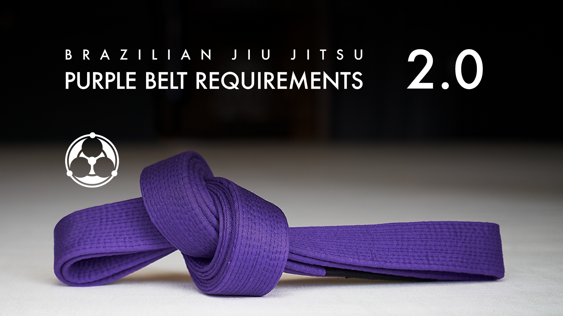 Purple Belt Requirements 2.0 (2025 Remix)