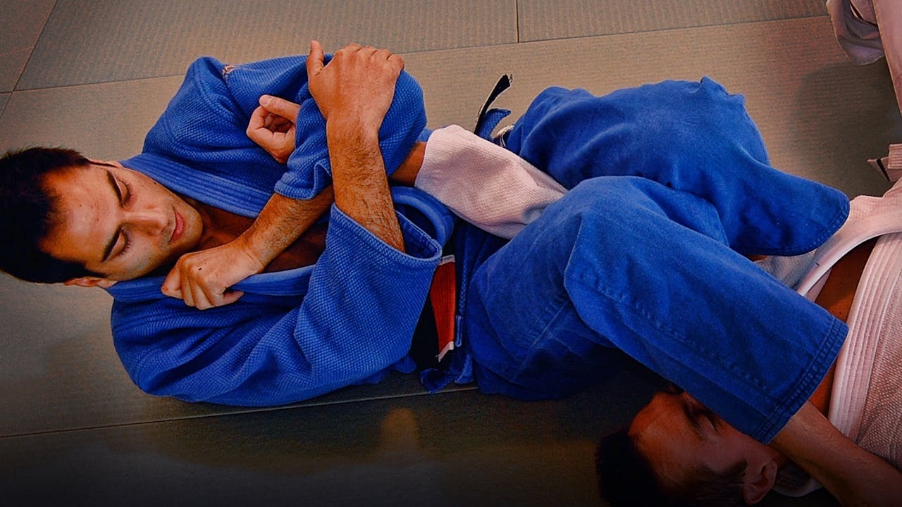 Brazilian Jiu Jitsu Blue Belt Requirements