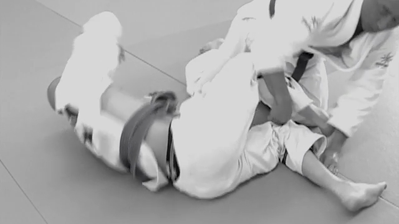 DaSilva Brown Belt Demonstration