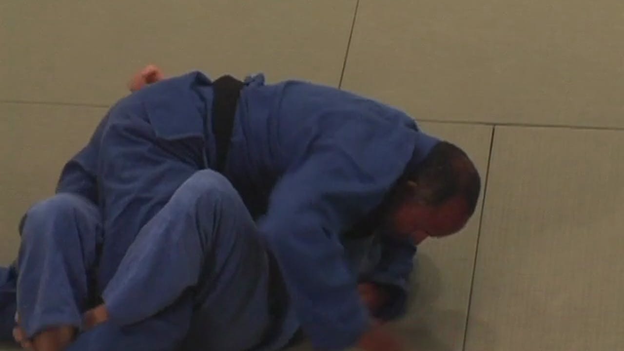 What Does Jiu Jitsu Look Like? ROYDEAN.TV