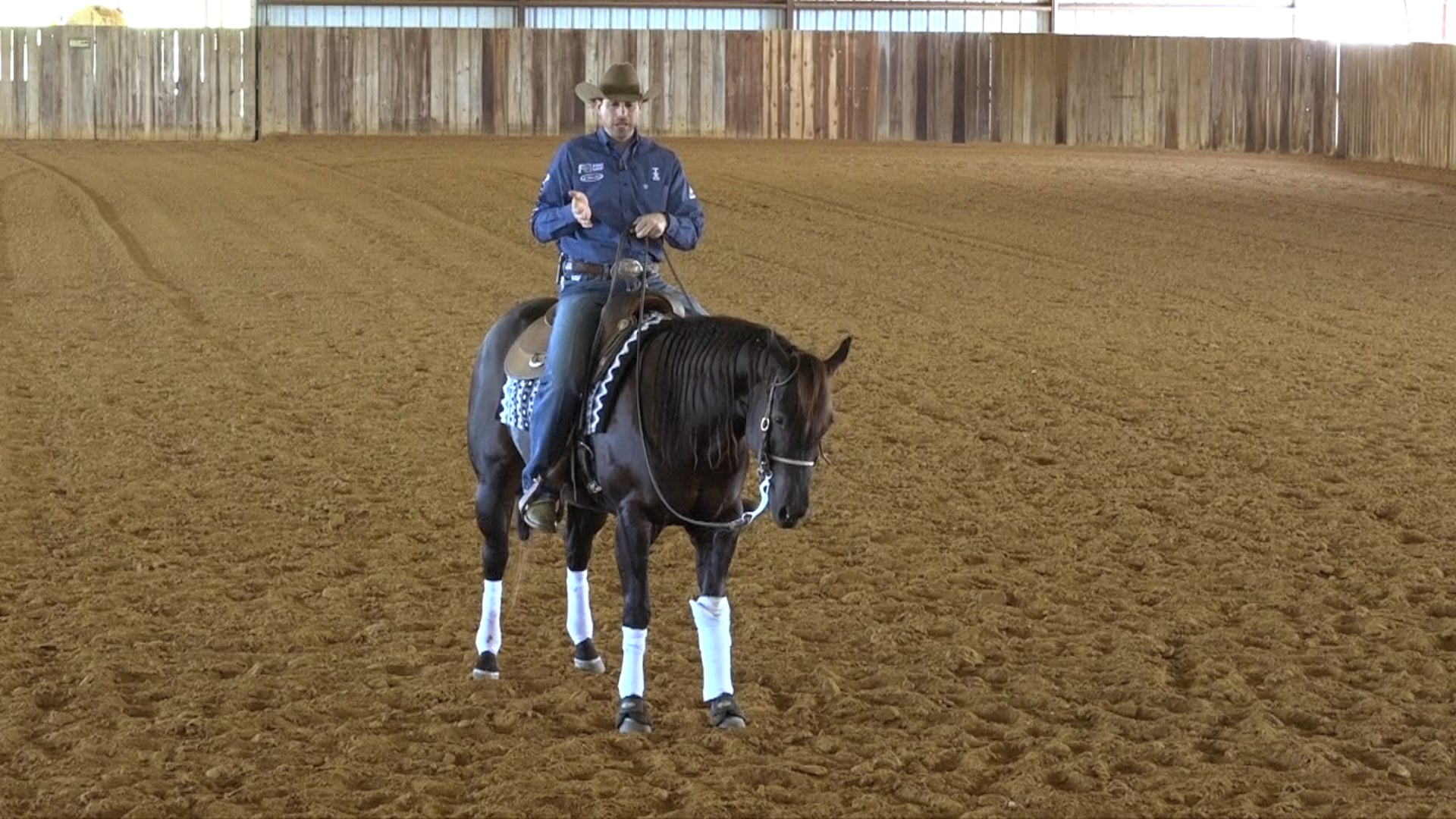 Step 9 - Indirect Rein Shoulder Out