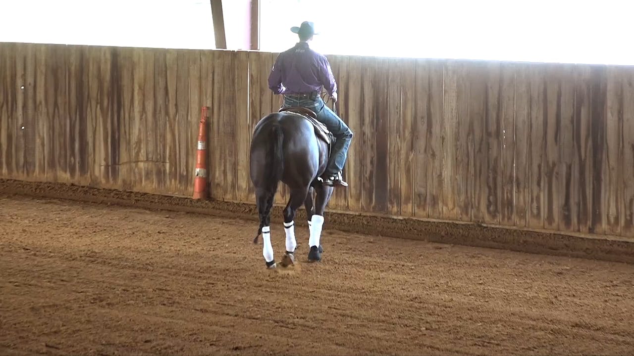 Side Pass - Step 1 - Basics - Horse Training Pro - The Comfort Zone ...