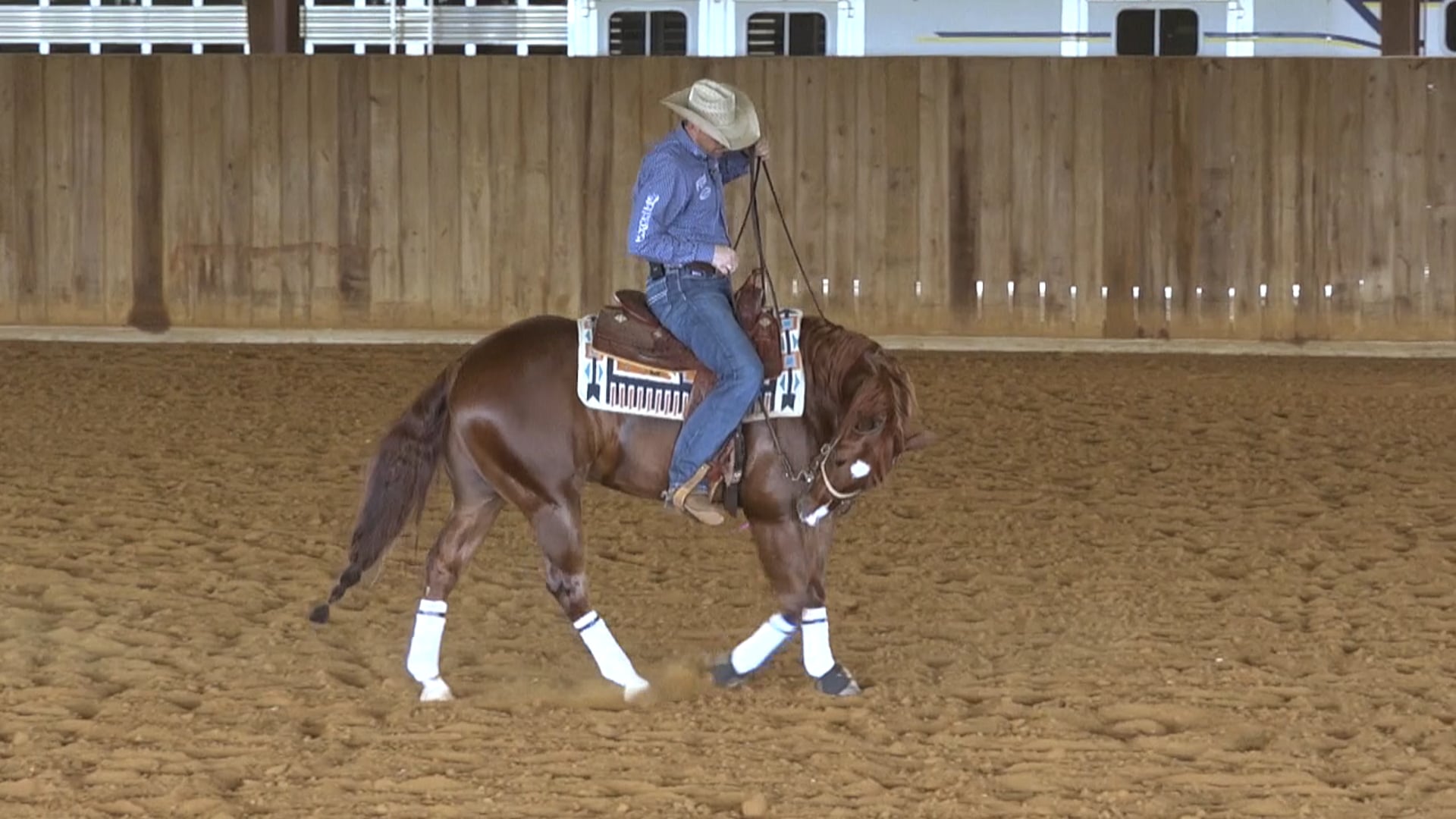 Programming 5 - Circling