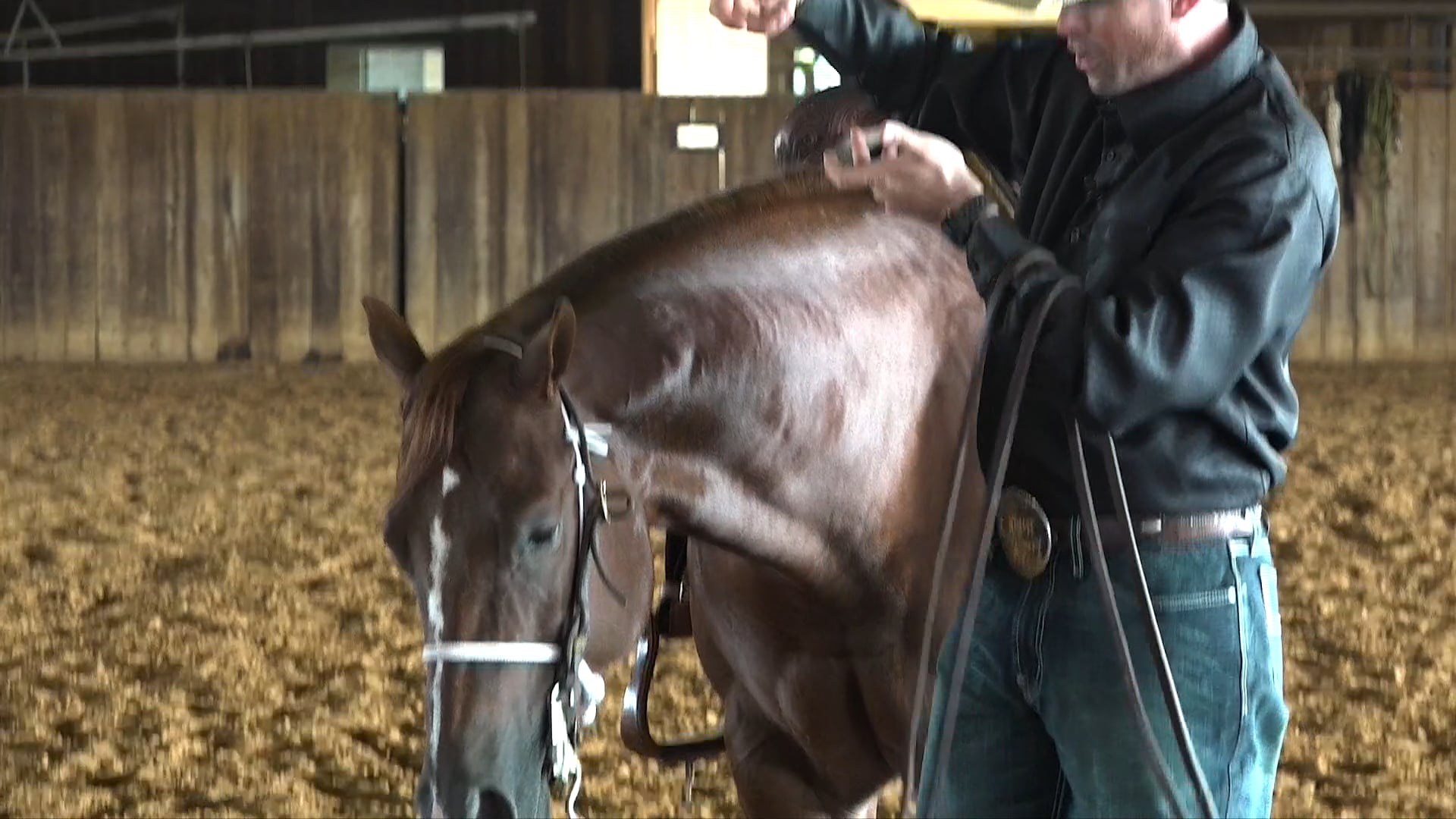 Adjusting the Bit & Bridle