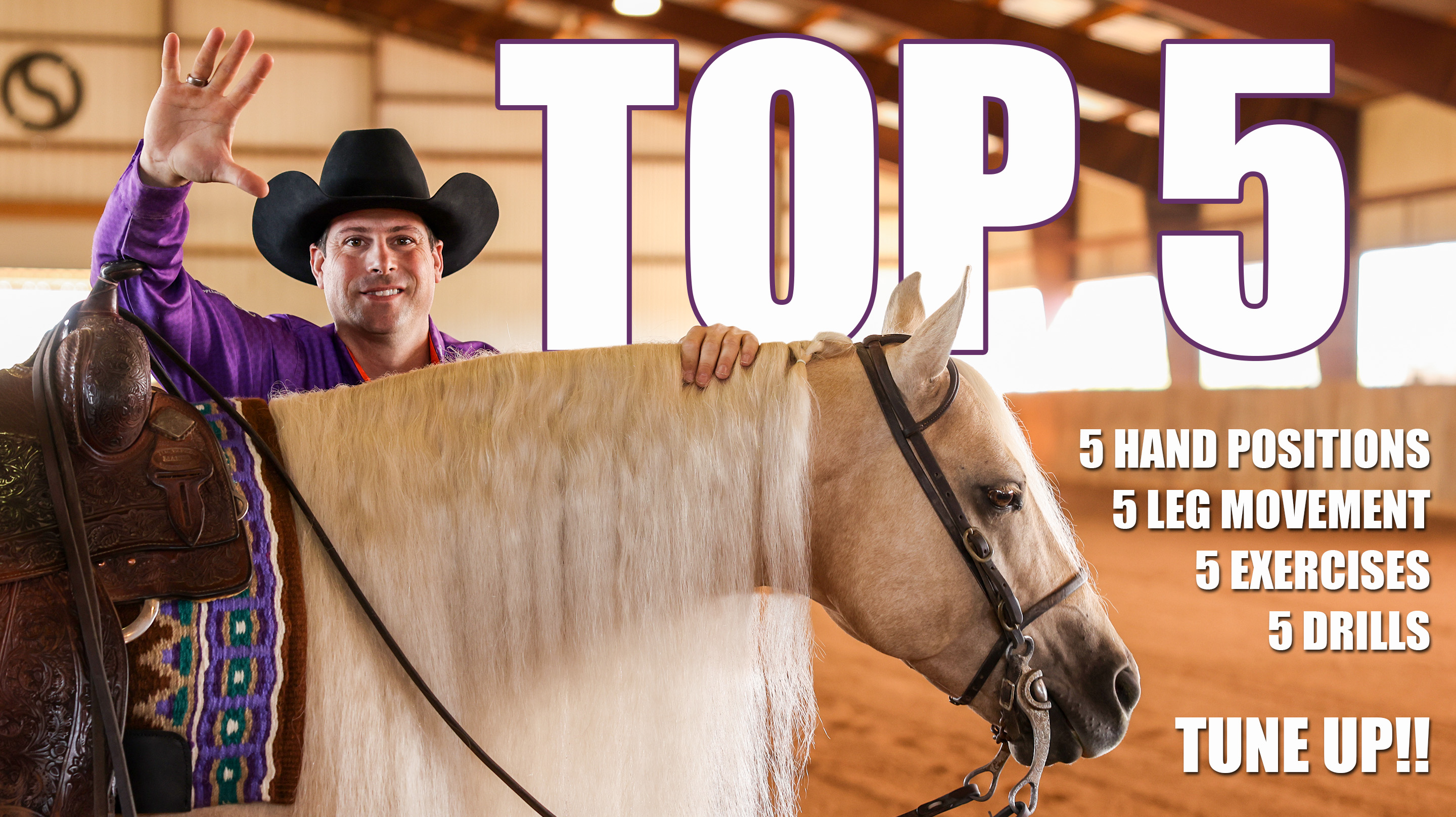 My TOP 5 Training Fundamentals