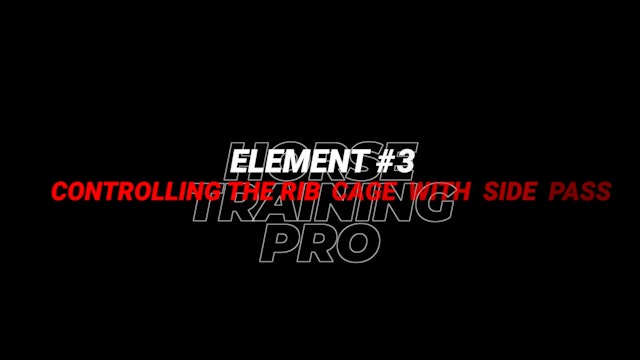 Element 3 - Controlling the Rib Cage Using Side Pass