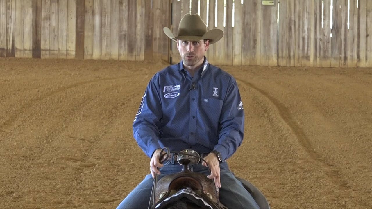 Step 6 Lead Departure Horse Training Pro The Comfort Zone Horse